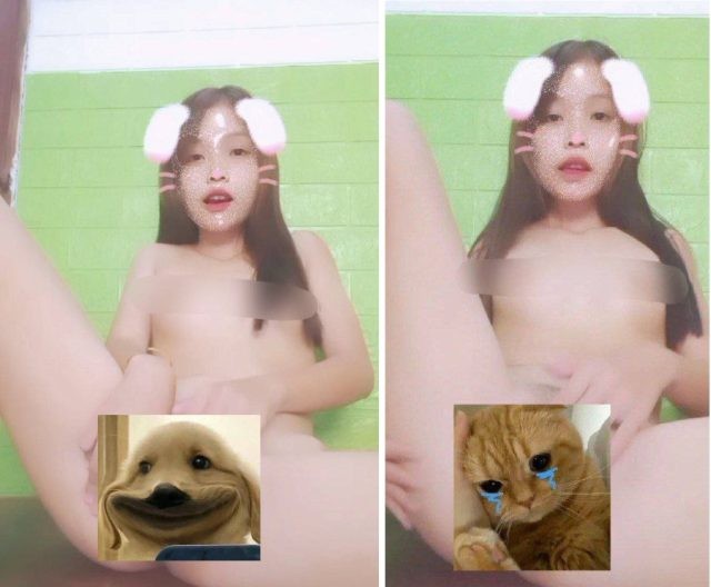 Tik toker còn được gọi là thỏ bướm nhiều nước đụ là một loại thỏ bướm rất vui